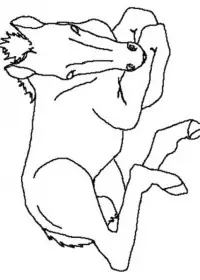 Fisă de colorat cu Animale cai de colorat p04