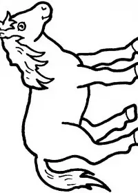 Fisă de colorat cu Animale cai de colorat p05