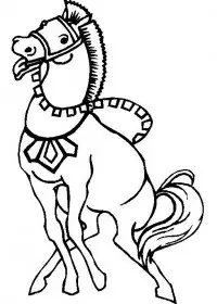 Fisă de colorat cu Animale cai de colorat p10