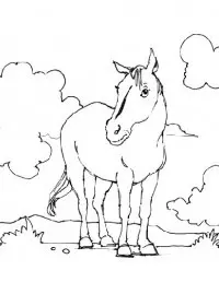 Fisă de colorat cu Animale cai de colorat p14