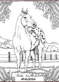 Fisă de colorat cu Animale cai de colorat p21