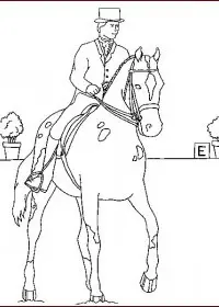 Fisă de colorat cu Animale cai de colorat p27