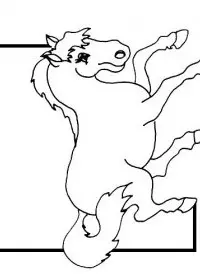 Fisă de colorat cu Animale cai de colorat p33