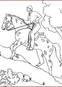 Fisă de colorat cu Animale cai de colorat p34