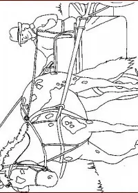 Fisă de colorat cu Animale cai de colorat p37