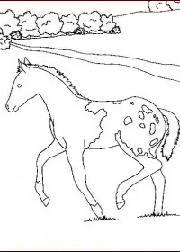 Fisă de colorat cu Animale cai de colorat p39