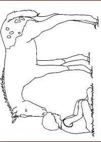 Fisă de colorat cu Animale cai de colorat p40