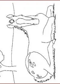 Fisă de colorat cu Animale cai de colorat p41