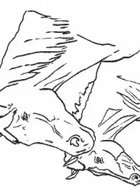 Fisă de colorat cu Animale cai de colorat p43