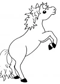 Fisă de colorat cu Animale cai de colorat p47