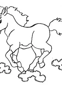 Fisă de colorat cu Animale cai de colorat p48