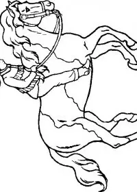 Fisă de colorat cu Animale cai de colorat p52