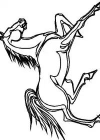 Fisă de colorat cu Animale cai de colorat p53