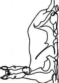 Fisă de colorat cu Animale cai de colorat p54