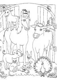 Fisă de colorat cu Animale cai de colorat p57