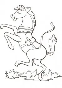 Fisă de colorat cu Animale cai de colorat p61