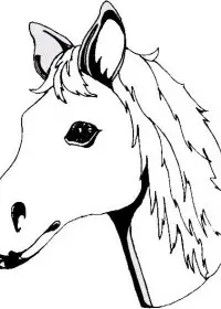 Fisă de colorat cu Animale cai de colorat p66