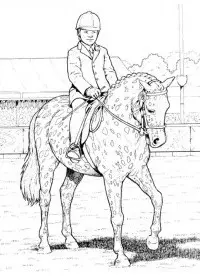 Fisă de colorat cu Animale cai de colorat p67