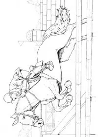 Fisă de colorat cu Animale cai de colorat p69