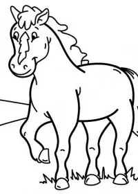 Fisă de colorat cu Animale cai de colorat p71