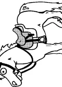 Fisă de colorat cu Animale cai de colorat p80