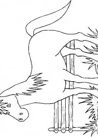 Fisă de colorat cu Animale cai de colorat p81