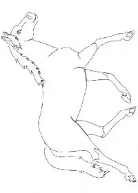 Fisă de colorat cu Animale cai de colorat p83