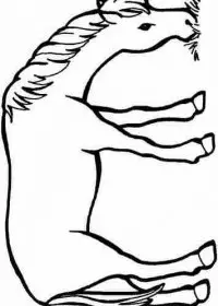 Fisă de colorat cu Animale cai de colorat p87