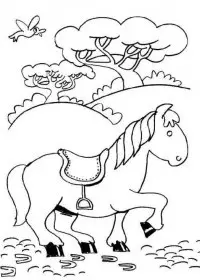 Fisă de colorat cu Animale cai de colorat p88