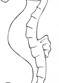 Fisă de colorat cu Animale caluti de mare de colorat p01