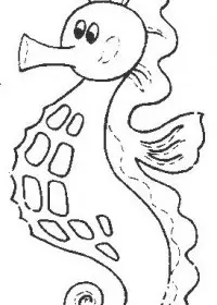 Fisă de colorat cu Animale caluti de mare de colorat p04