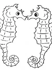 Fisă de colorat cu Animale caluti de mare de colorat p07