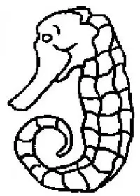 Fisă de colorat cu Animale caluti de mare de colorat p09