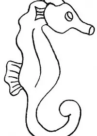 Fisă de colorat cu Animale caluti de mare de colorat p10