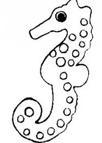 Fisă de colorat cu Animale caluti de mare de colorat p13