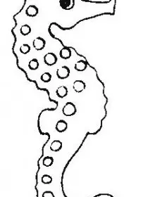 Fisă de colorat cu Animale caluti de mare de colorat p14