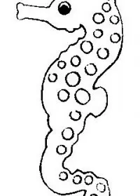 Fisă de colorat cu Animale caluti de mare de colorat p15