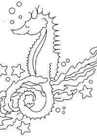 Fisă de colorat cu Animale caluti de mare de colorat p17