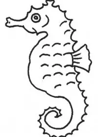 Fisă de colorat cu Animale caluti de mare de colorat p18