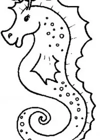 Fisă de colorat cu Animale caluti de mare de colorat p21