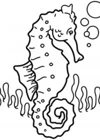 Fisă de colorat cu Animale caluti de mare de colorat p27