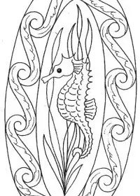 Fisă de colorat cu Animale caluti de mare de colorat p30