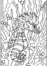 Fisă de colorat cu Animale caluti de mare de colorat p32