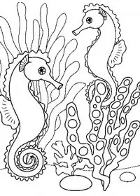 Fisă de colorat cu Animale caluti de mare de colorat p35