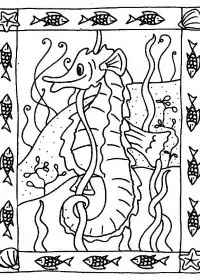 Fisă de colorat cu Animale caluti de mare de colorat p36