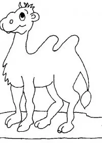 Fisă de colorat cu Animale camile de colorat p03