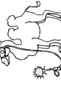 Fisă de colorat cu Animale camile de colorat p05