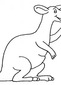 Fisă de colorat cu Animale canguri de colorat p07