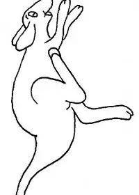 Fisă de colorat cu Animale canguri de colorat p08