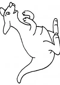 Fisă de colorat cu Animale canguri de colorat p09